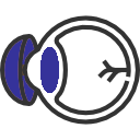 Optometrist in Auburn and Westboro, MA